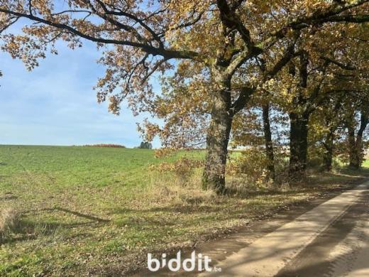 Première photo alternative du bien