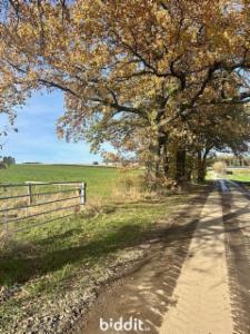 Image de présentation du bien n° 295483