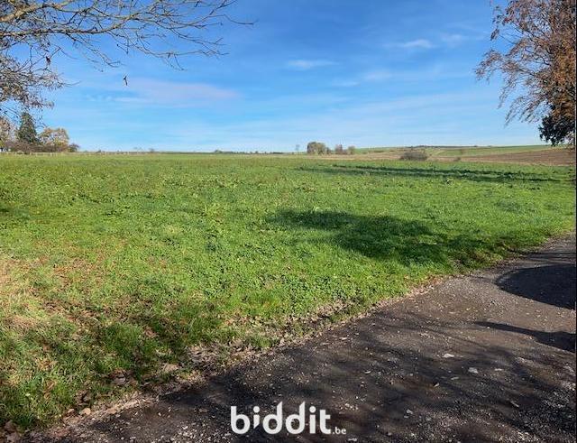 Image de présentation du bien n° 295488