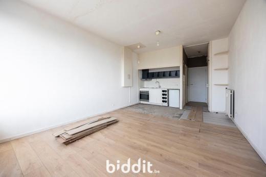 Troisième photo alternative du bien