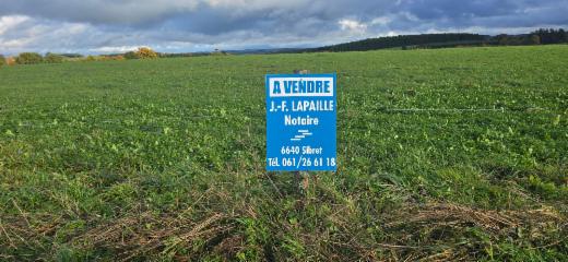 Première photo alternative du bien