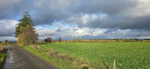 Seconde photo alternative du bien