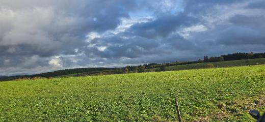 Troisième photo alternative du bien