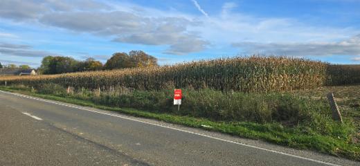 Première photo alternative du bien
