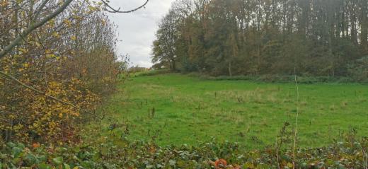 Première photo alternative du bien