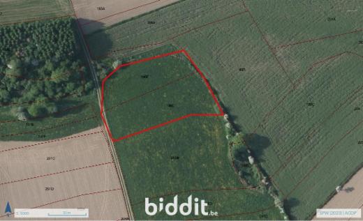 Image de présentation du bien n° 291291