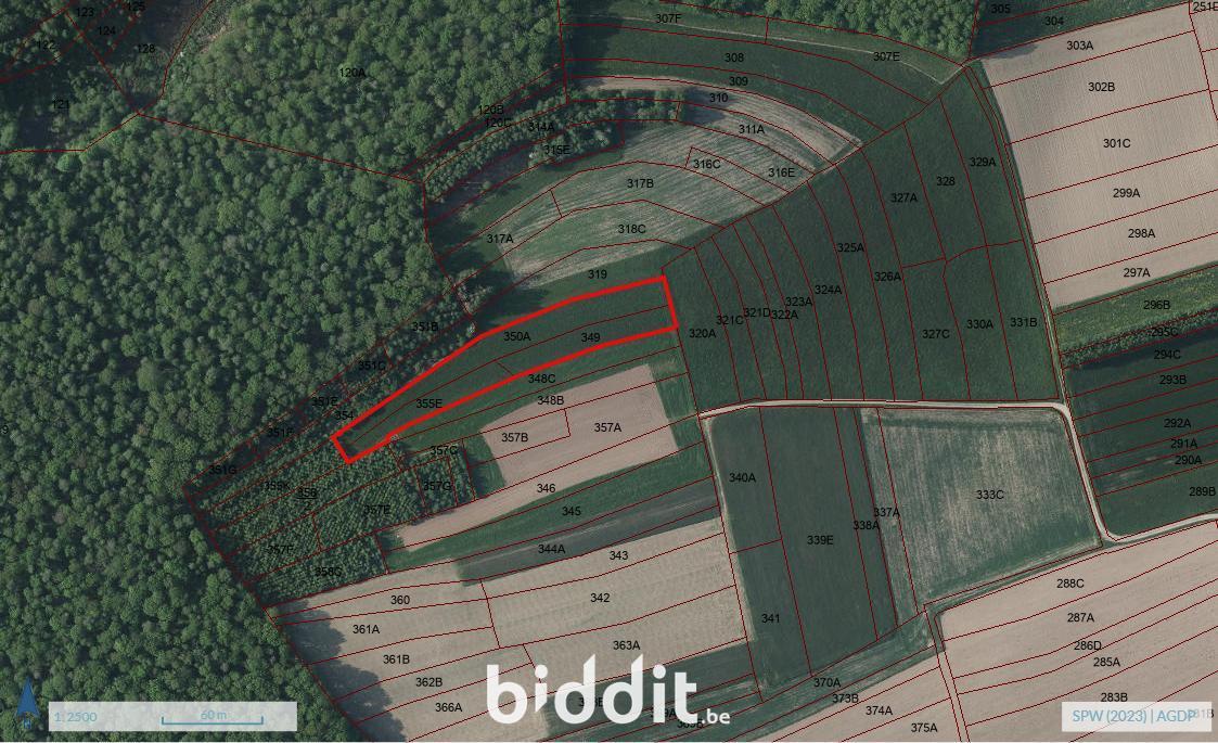 Image de présentation du bien n° 291294