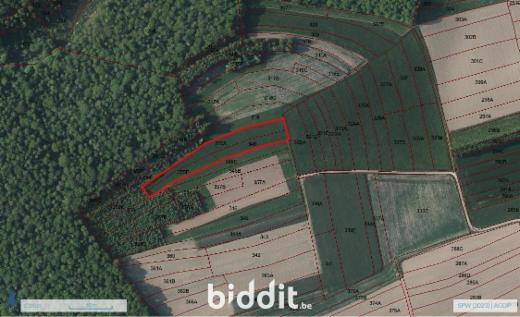 Image de présentation du bien n° 291294