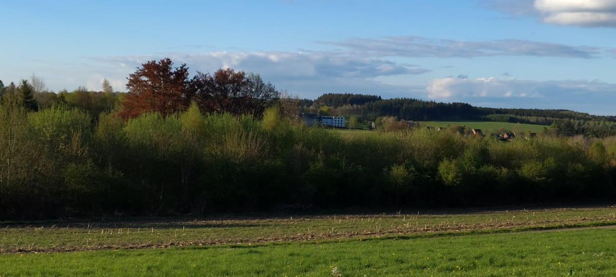 Image de présentation du bien n° 295607