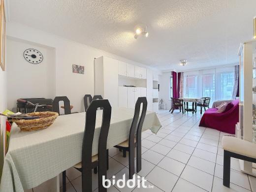 Image de présentation du bien n° 282647