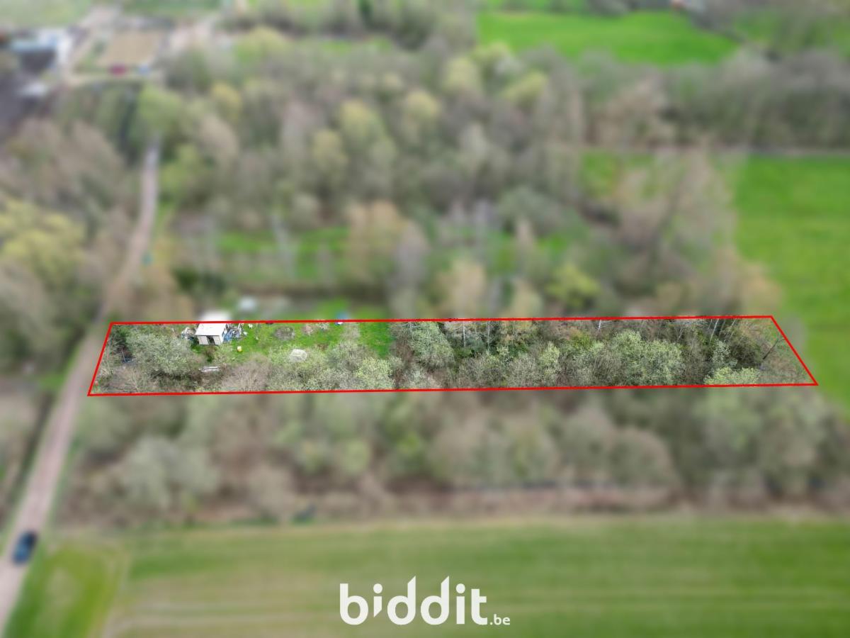 Image de présentation du bien n° 296816