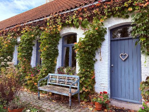 Première photo alternative du bien