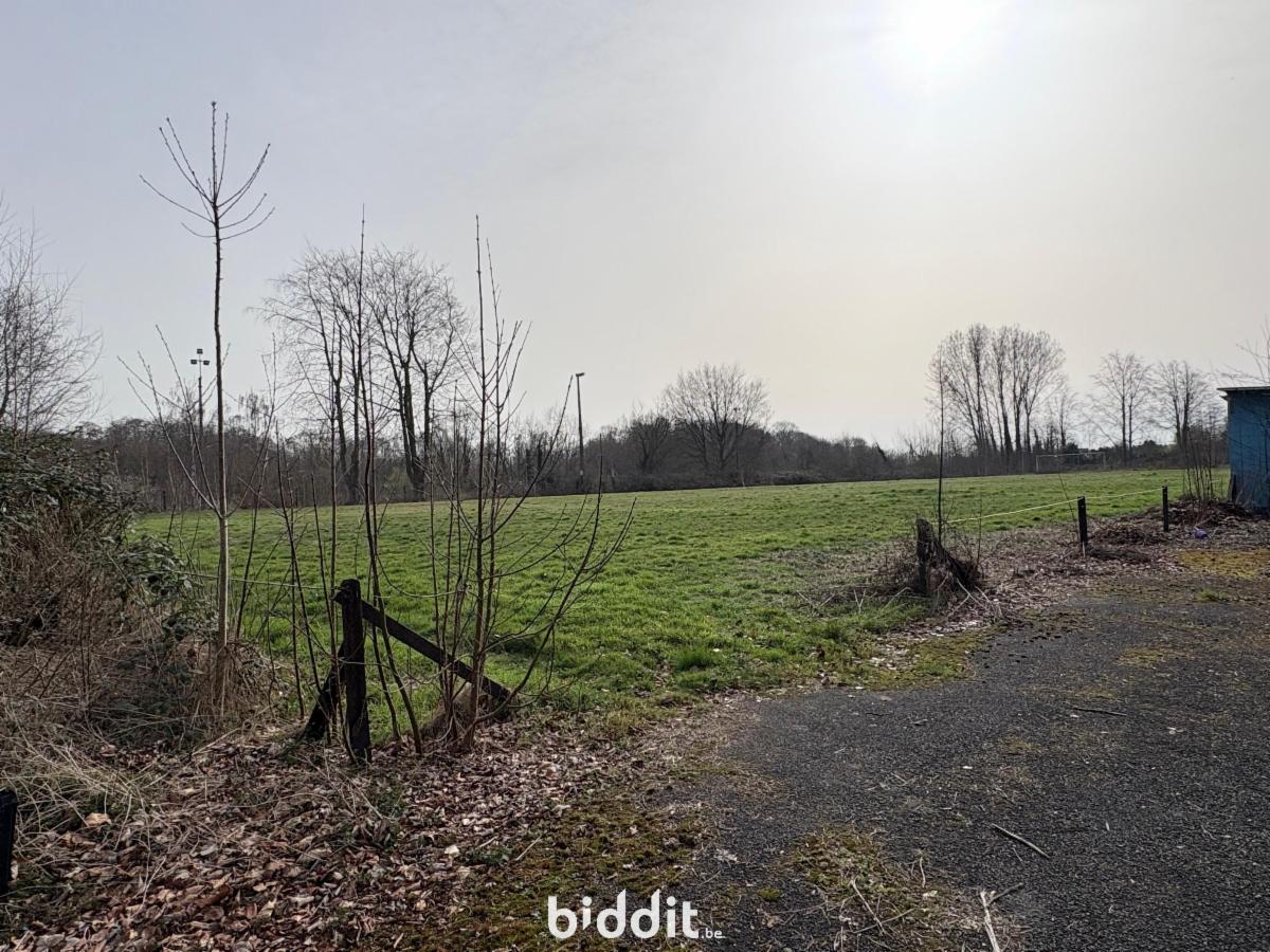 Image de présentation du bien n° 293607