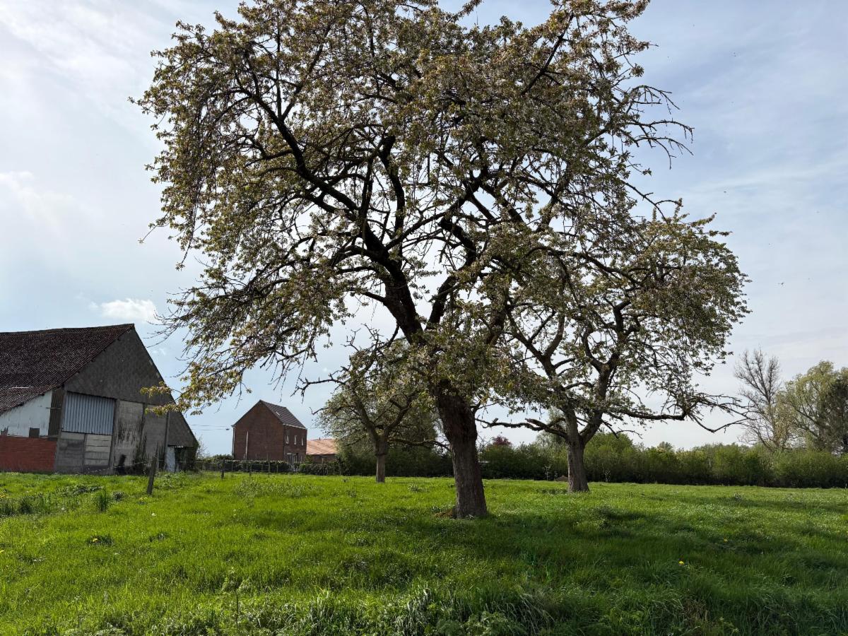 Image de présentation du bien n° 295609