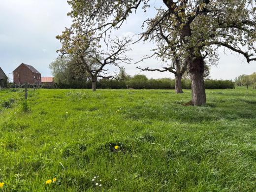 Seconde photo alternative du bien