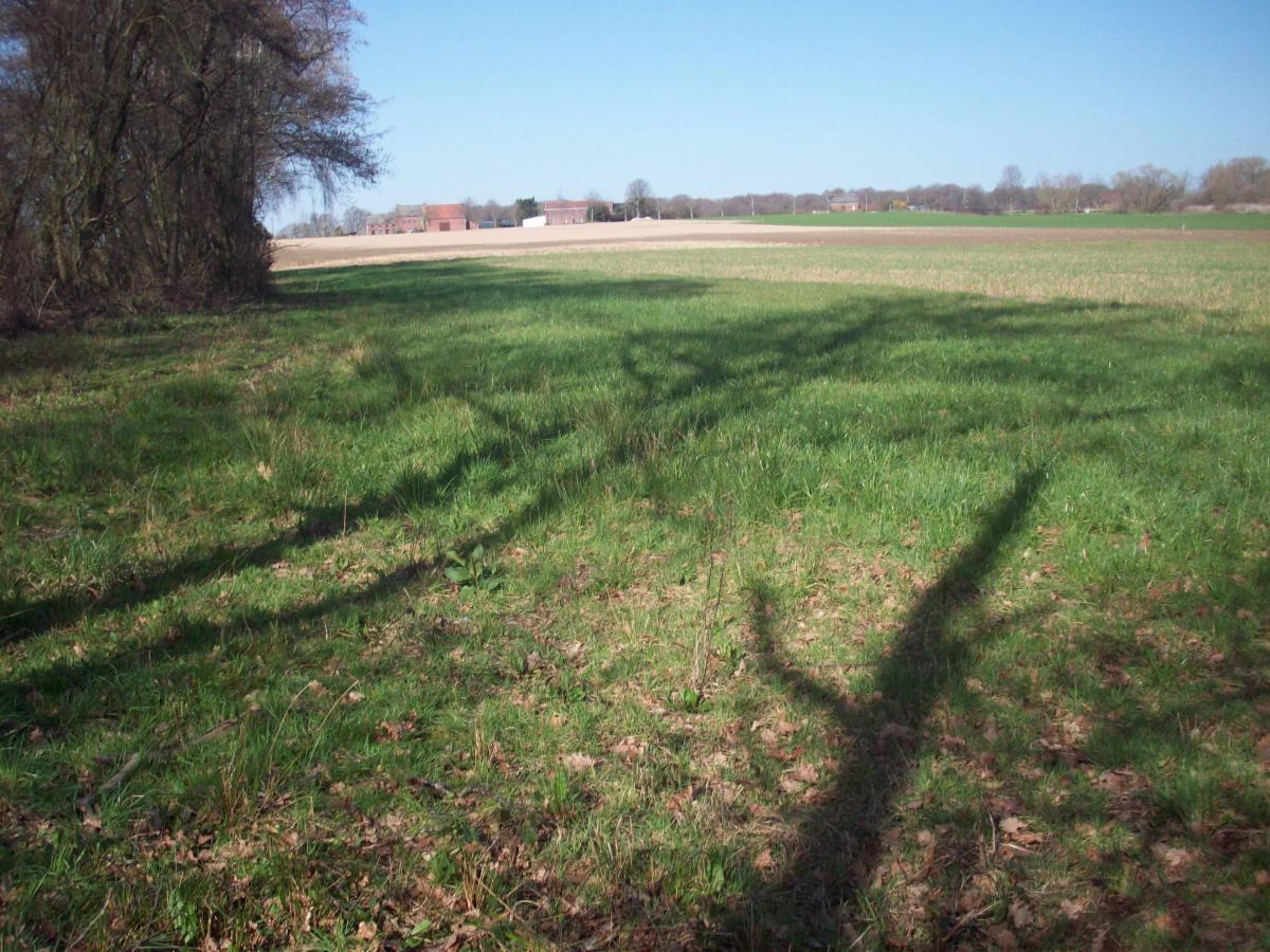 Image de présentation du bien n° 298484