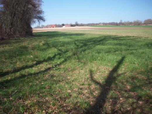 Image de présentation du bien n° 298484