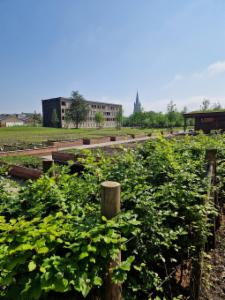 Troisième photo alternative du bien