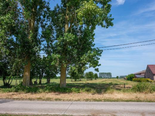Image de présentation du bien n° 299042