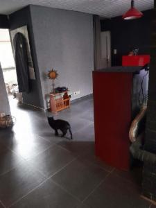 Troisième photo alternative du bien