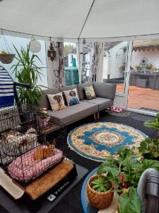 Troisième photo alternative du bien