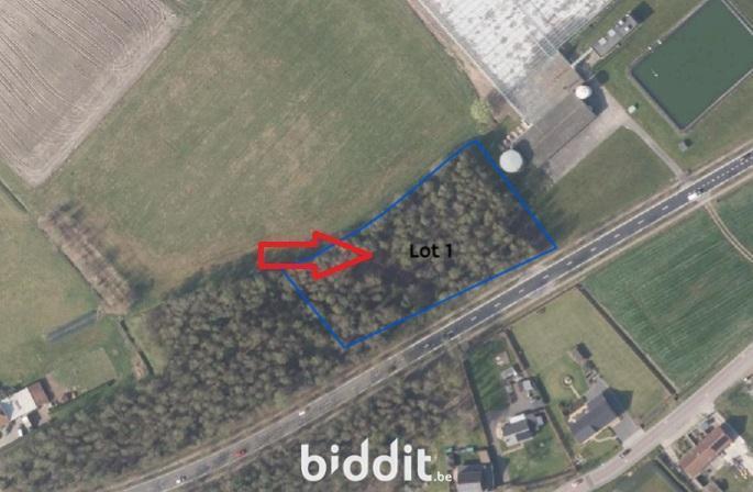 Image de présentation du bien n° 291184