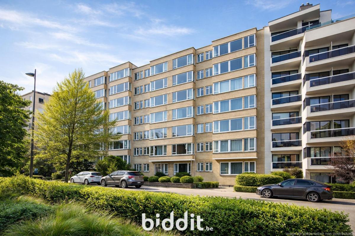 Image de présentation du bien n° 292319