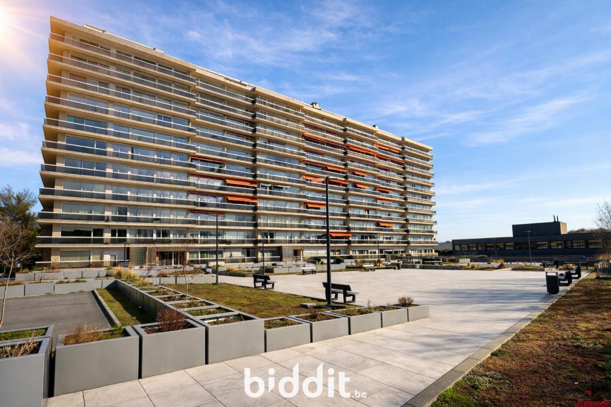 Image de présentation du bien n° 293876