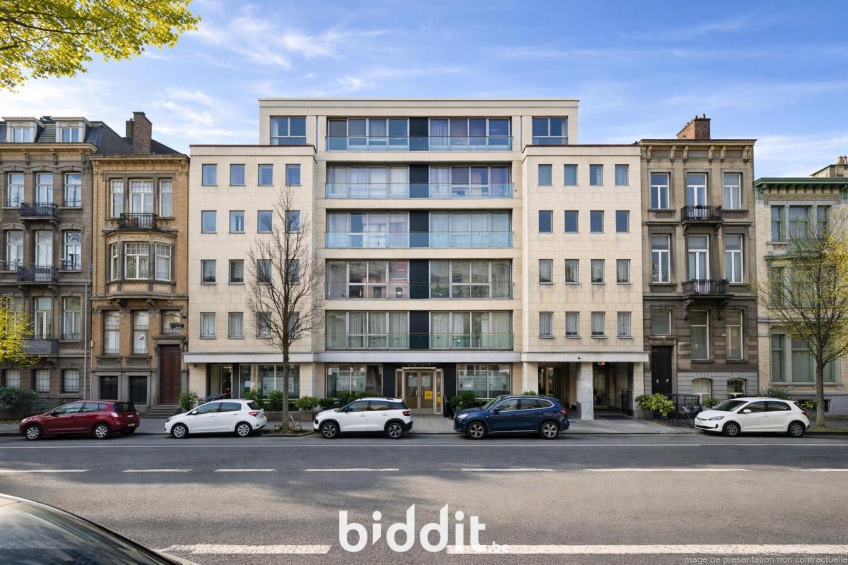 Image de présentation du bien n° 294463