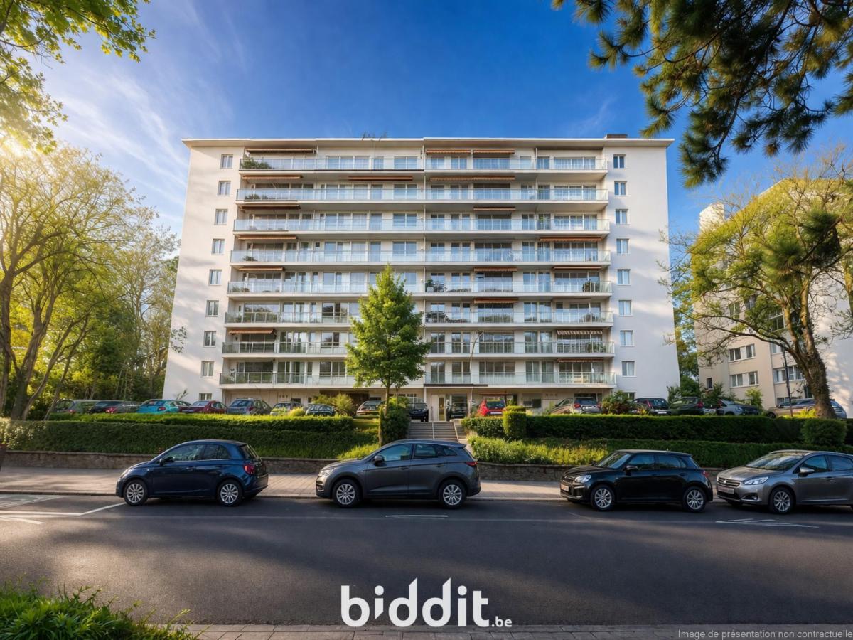 Image de présentation du bien n° 295249