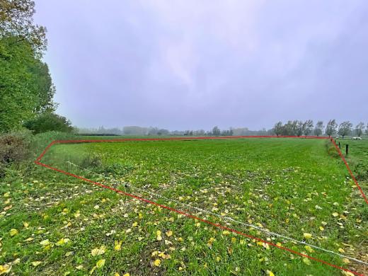 Image de présentation du bien n° 288692