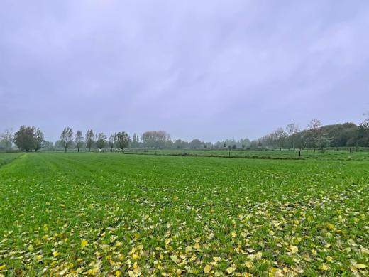 Seconde photo alternative du bien