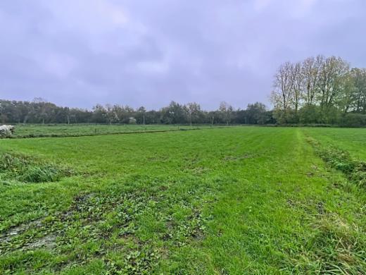 Troisième photo alternative du bien