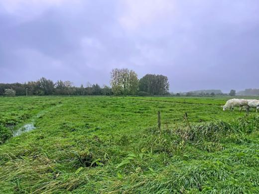 Première photo alternative du bien