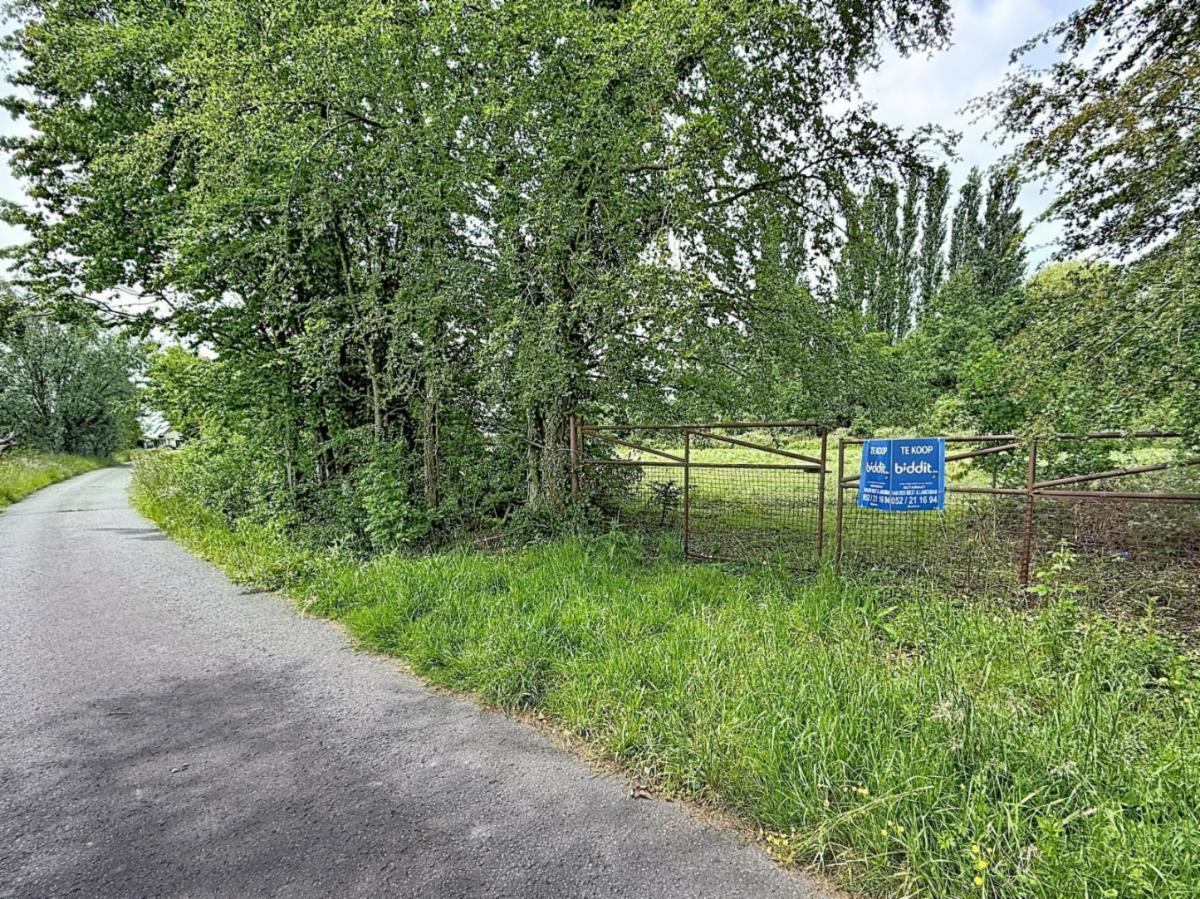 Image de présentation du bien n° 296642