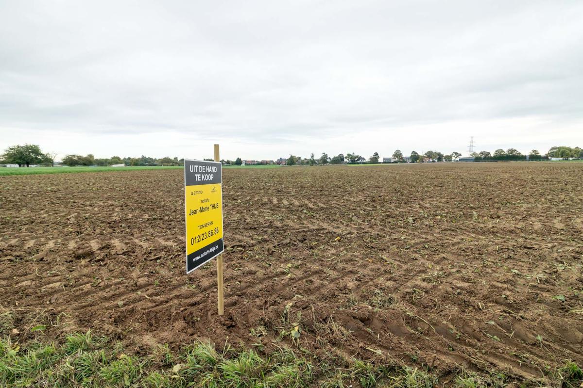 Image de présentation du bien n° 303373