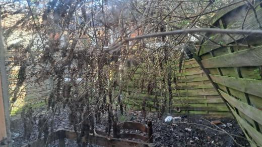 Troisième photo alternative du bien