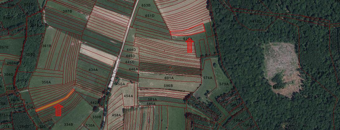 Image de présentation du bien n° 293175