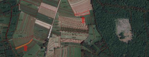 Image de présentation du bien n° 293175