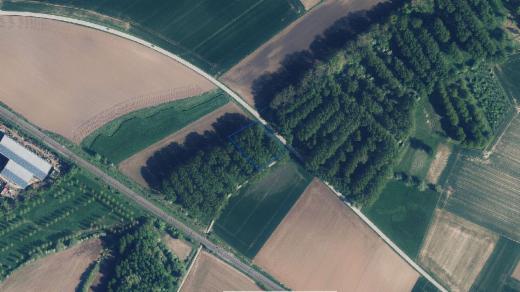 Première photo alternative du bien