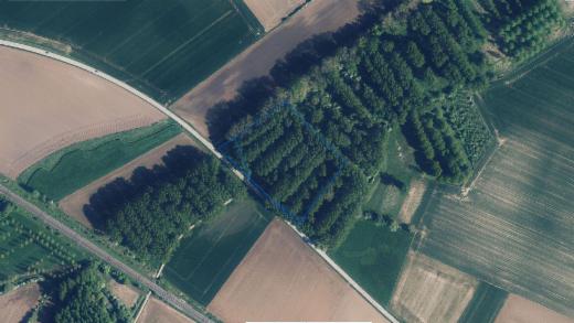 Première photo alternative du bien