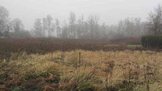 Première photo alternative du bien