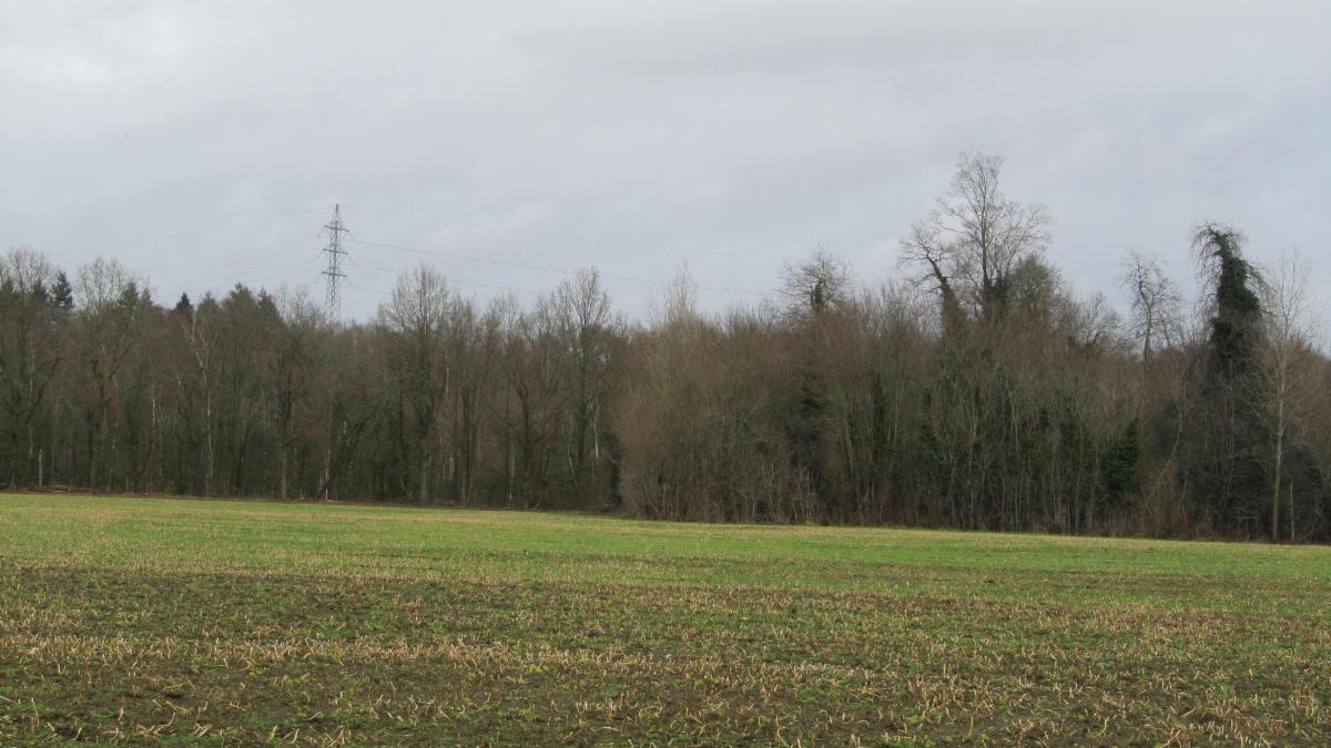 Image de présentation du bien n° 293938