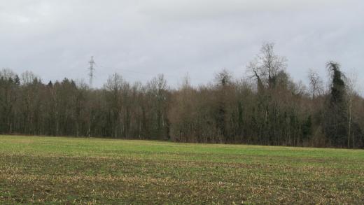 Image de présentation du bien n° 293938