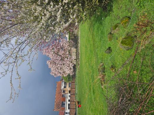 Image de présentation du bien n° 294967