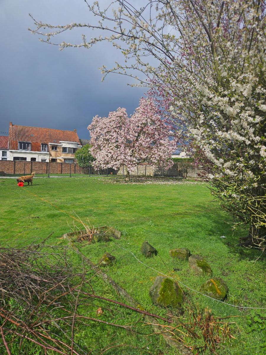 Image de présentation du bien n° 294967