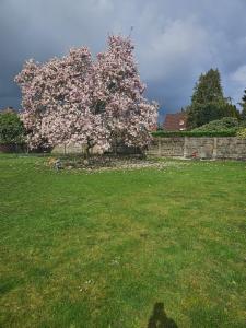 Seconde photo alternative du bien