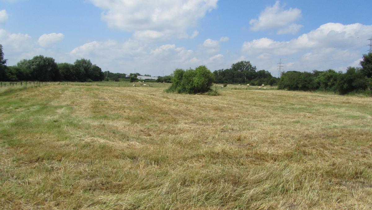 Image de présentation du bien n° 301355