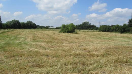 Image de présentation du bien n° 301355