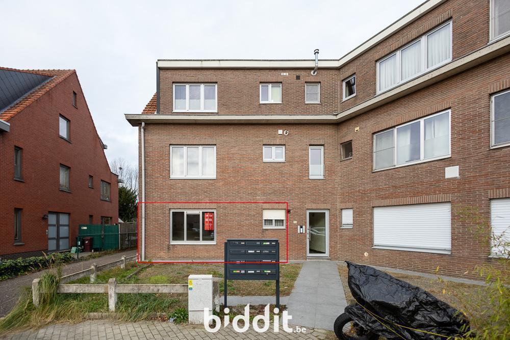 Image de présentation du bien n° 293046